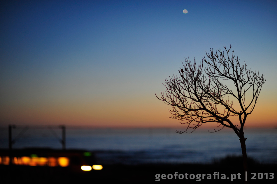 video-caminho-de-ferro-2013